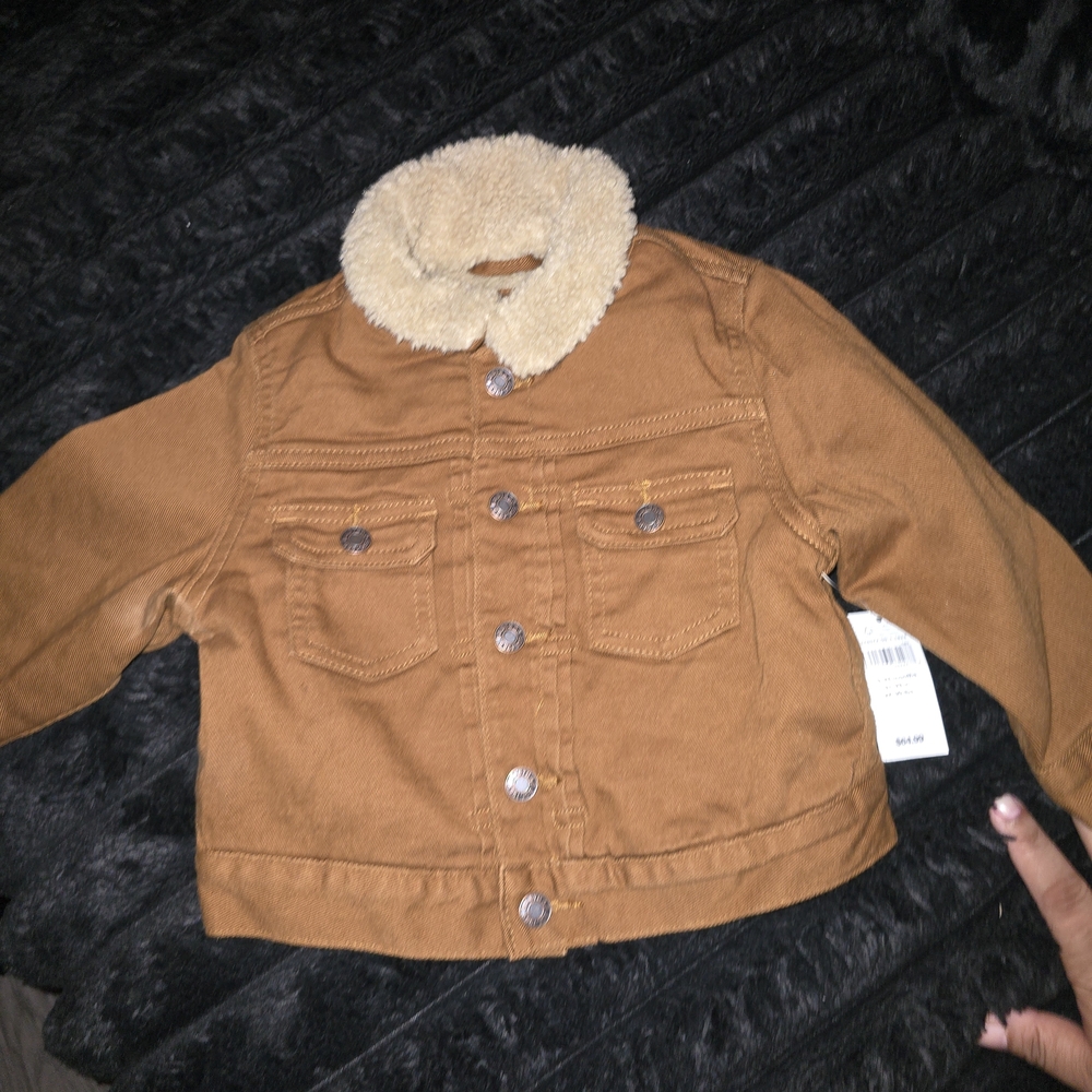 GAP Brown Jean Jacket with Sherpa Collar